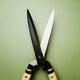 Hedges & Topiary Shears