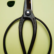 Handmade Japanese Okubo Scissors