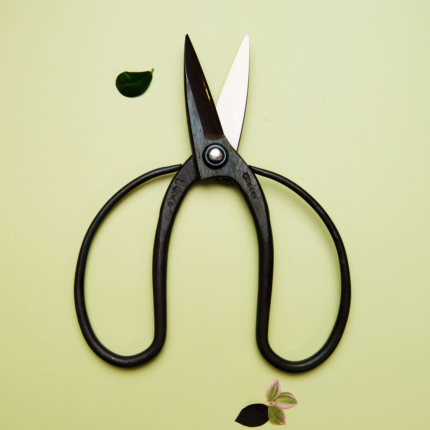 Okubo Scissors