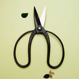 Okubo Scissors