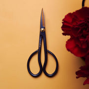 Satsuki Scissors 150mm