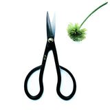 Satsuki Scissors 150mm