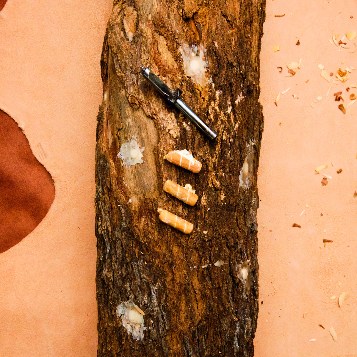 Drill Bit for Inoculated Dowels - Grow Your Own Mushrooms!