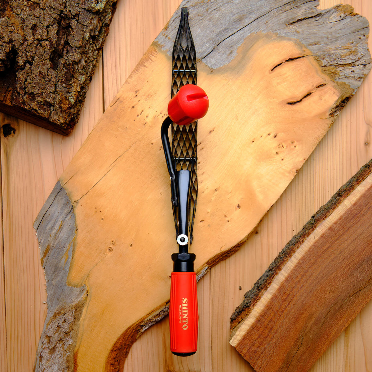 Shinto Saw Rasp SR30- Coarse & Fine with Interchangeable Handle