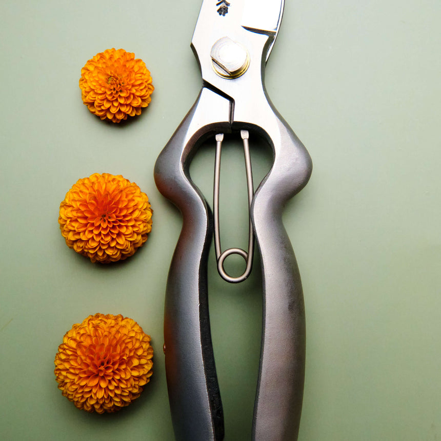 Handmade Japanese Stainless Steel Large Handled Secateurs - 200mm