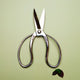 Bonsai & Ikebana Tools