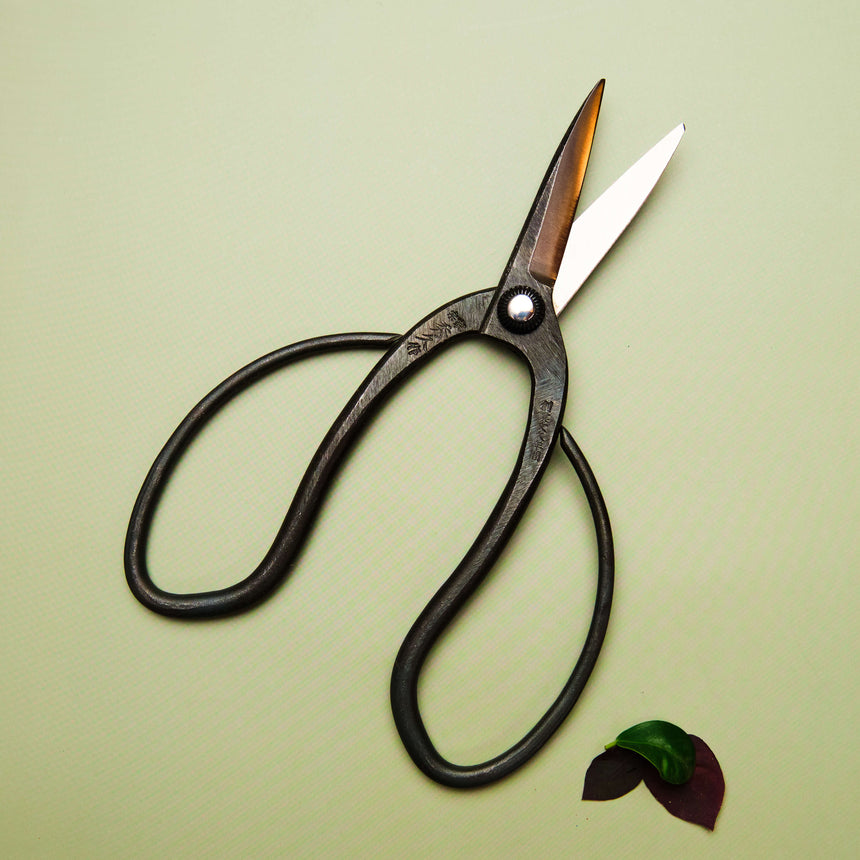 Handmade Japanese Bonsai Scissors - 200mm