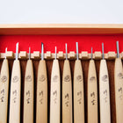 "Tomo" Netsuke Carving Chisels 10 Piece Set