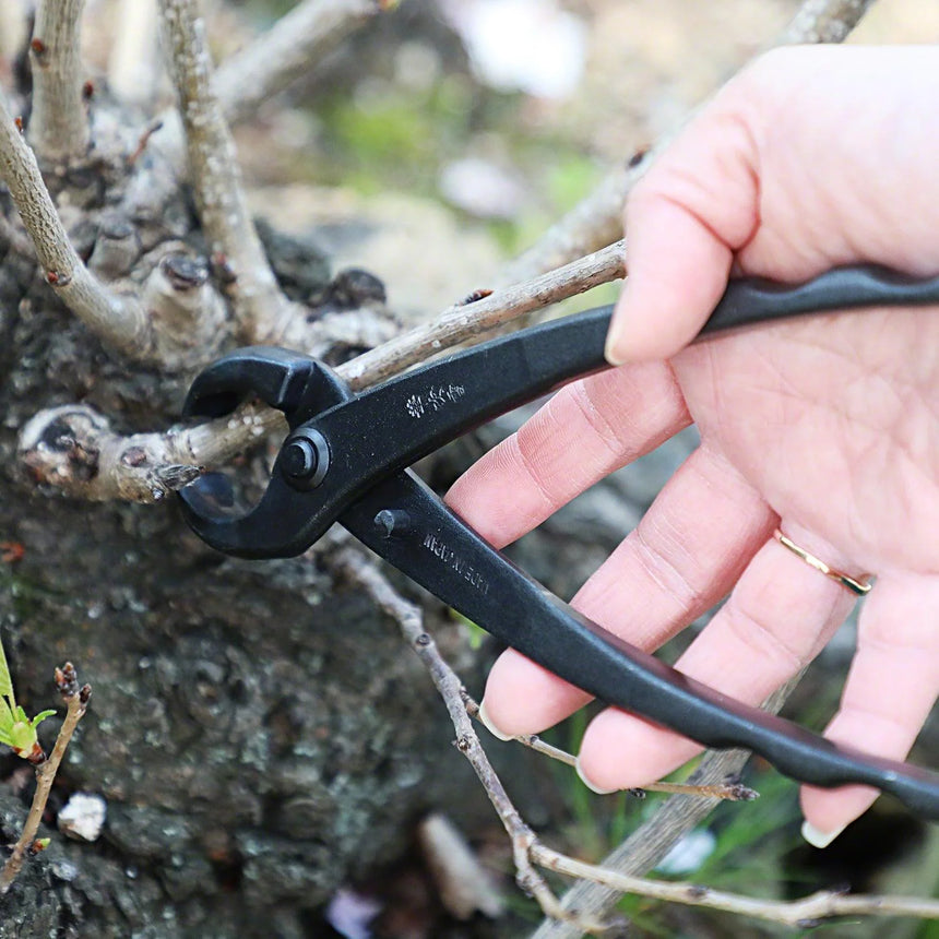 Bonsai Tree Trunk Splitter - 210mm