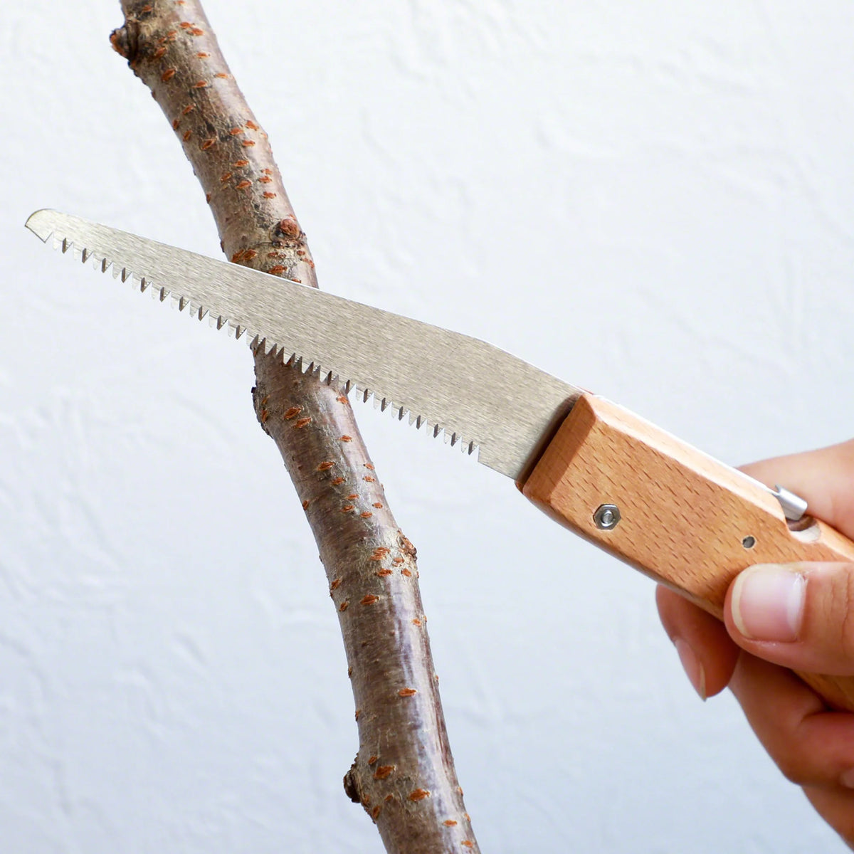Bonsai Folding Saw