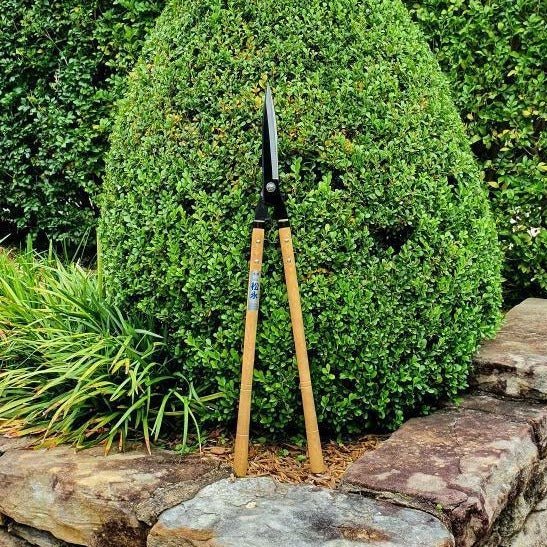 210mm Hedge Shears - Hedges & Topiary - Japanese Tools Australia