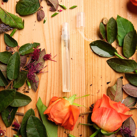 Camellia Oil Spray - Maintenance & Accessories - Japanese Tools Australia