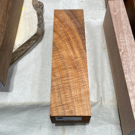 Fiddleback Blackwood Carving Blank - timber - Japanese Tools Australia