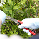 Gyokucho Retractable Razorsaw 1160 - Specialist Saws - Japanese Tools Australia