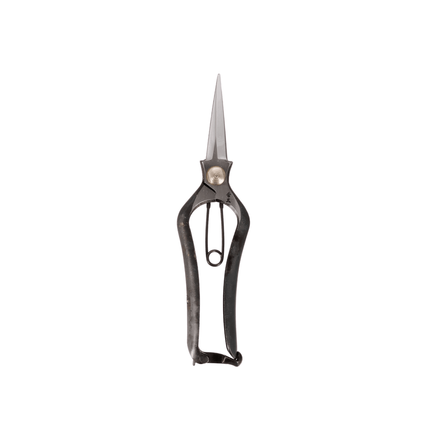 Handmade Japanese Budding Snips - 200mm - Secateurs - Japanese Tools Australia