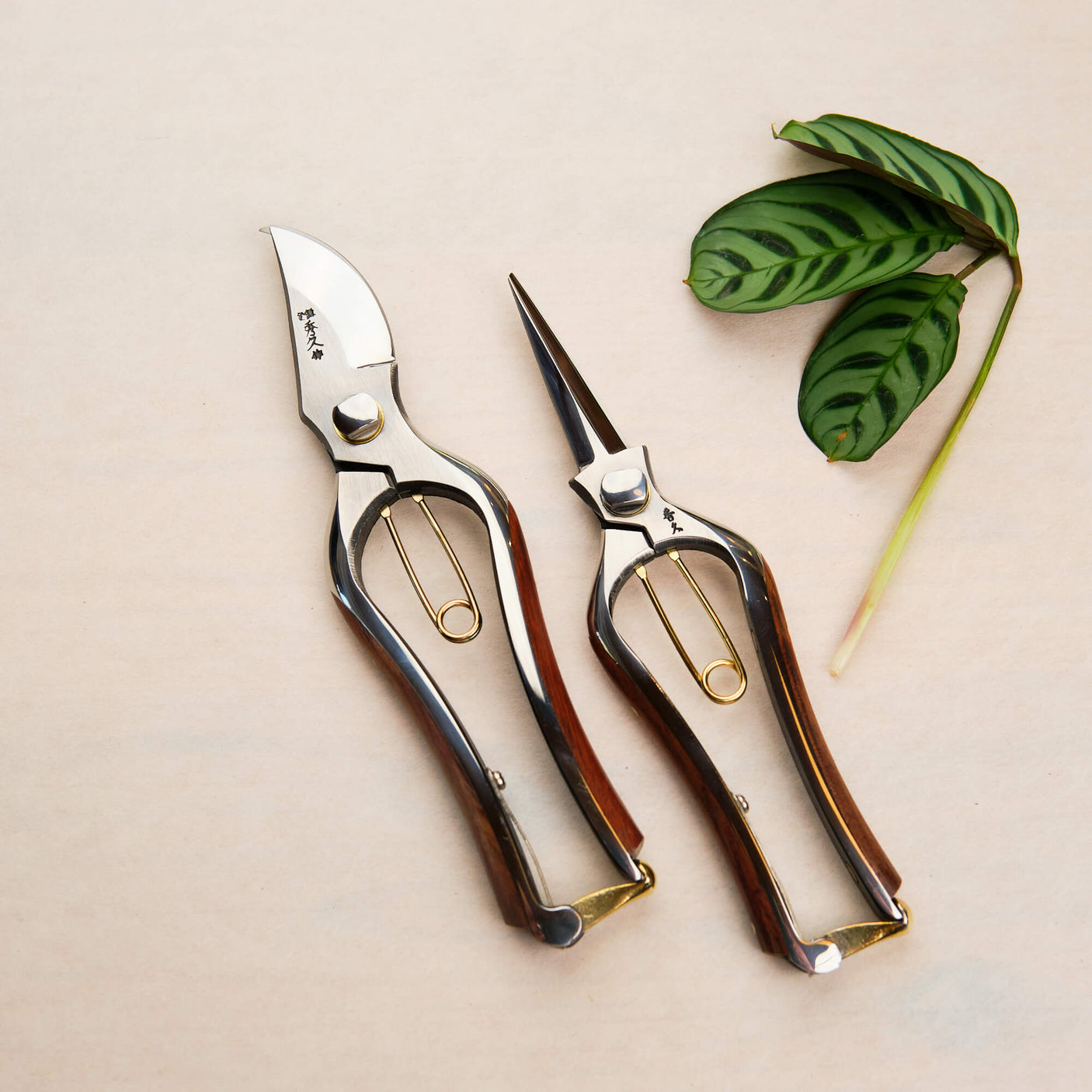 Handmade Japanese Snips - Bubinga Handle - Secateurs - Japanese Tools Australia