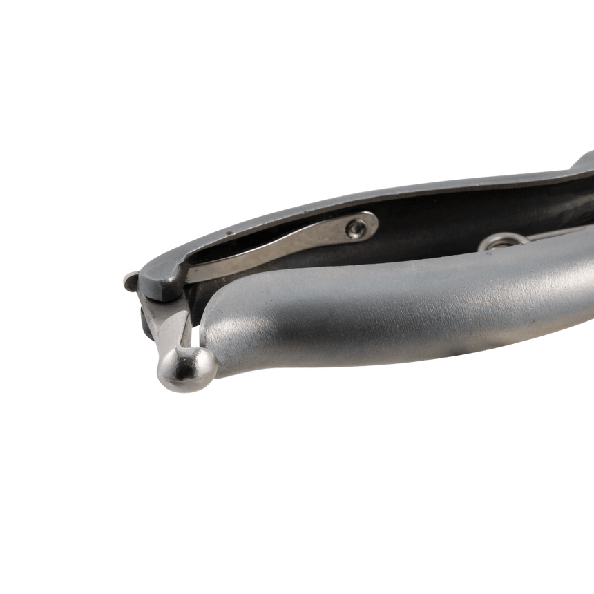 Handmade Stainless Steel Secateurs - 180mm - Secateurs - Japanese Tools Australia