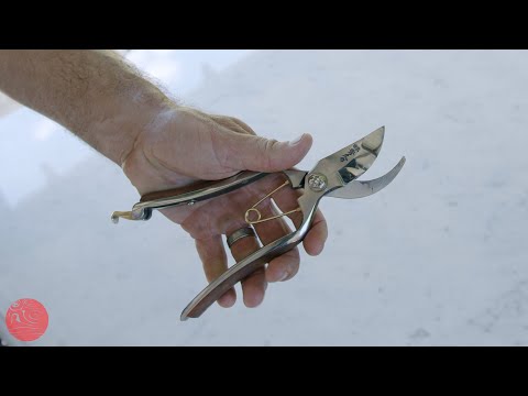 Handmade Japanese Stainless Steel Secateurs - 180mm