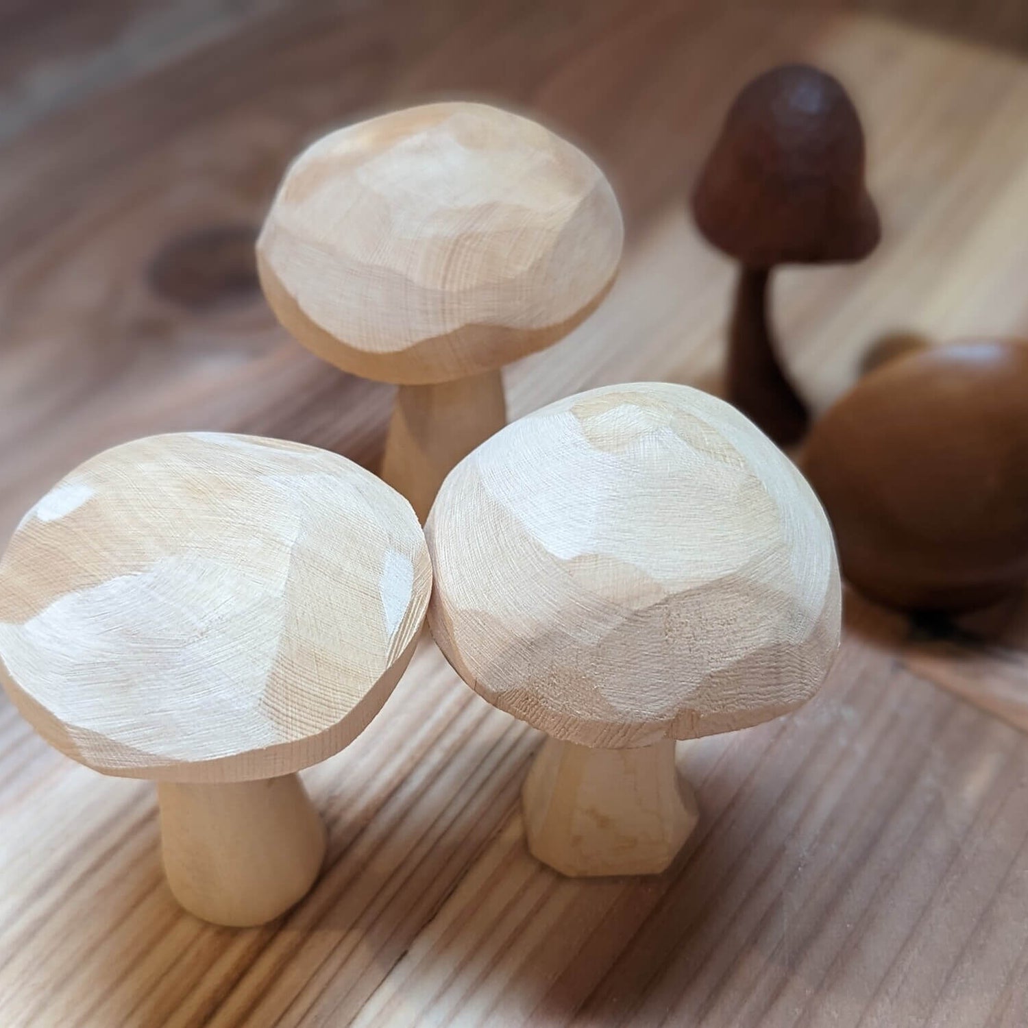 Huon Pine Netsuke Mushroom Blank - Carving Projects & Kits - Japanese Tools Australia