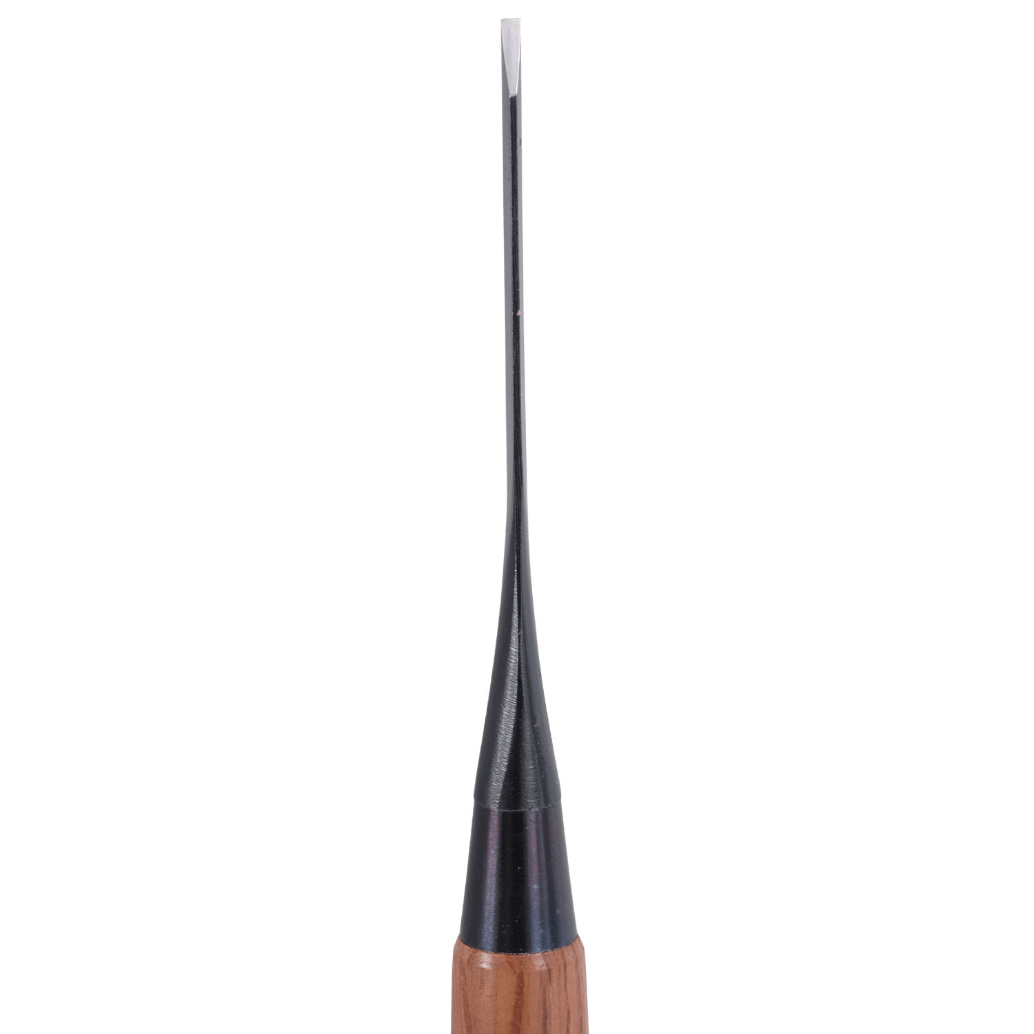 Kamiwaza Bench Chisels - Bench Chisels - Japanese Tools Australia