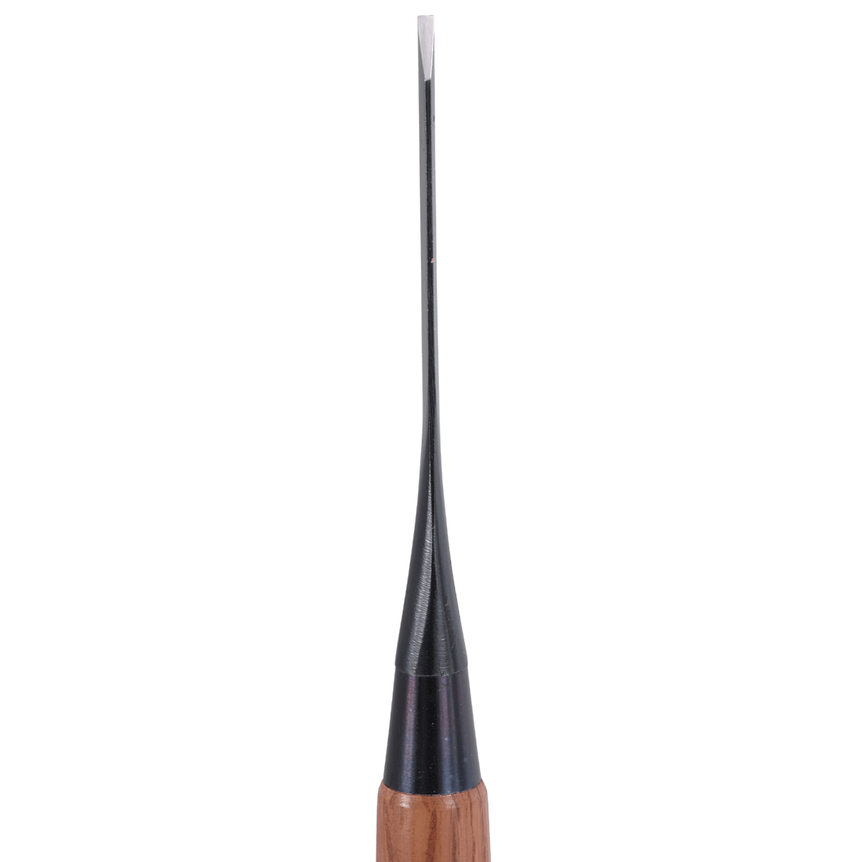 Kamiwaza Bench Chisels - Bench Chisels - Japanese Tools Australia