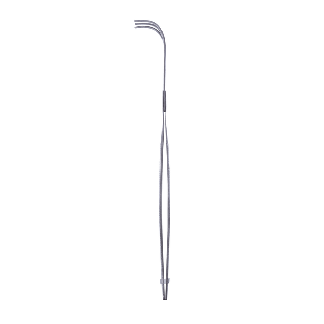 Kikuwa 220mm Bonsai Root Rake With Tweezer - Bonsai Tools - Japanese Tools Australia