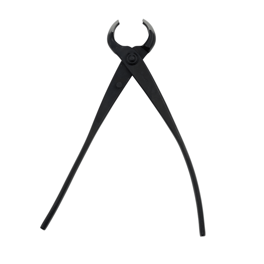 Kikuwa Professional Bonsai Knob Cutter - Large - Bonsai Tools - Japanese Tools Australia