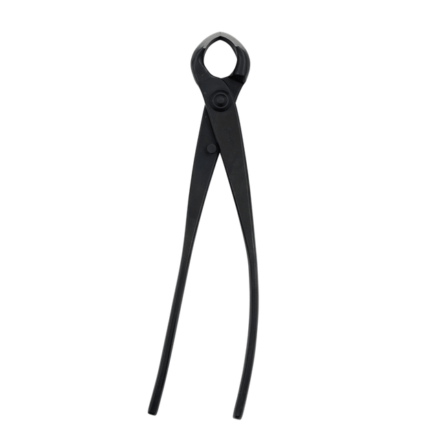 Kikuwa Professional Bonsai Knob Cutter - Large - Bonsai Tools - Japanese Tools Australia