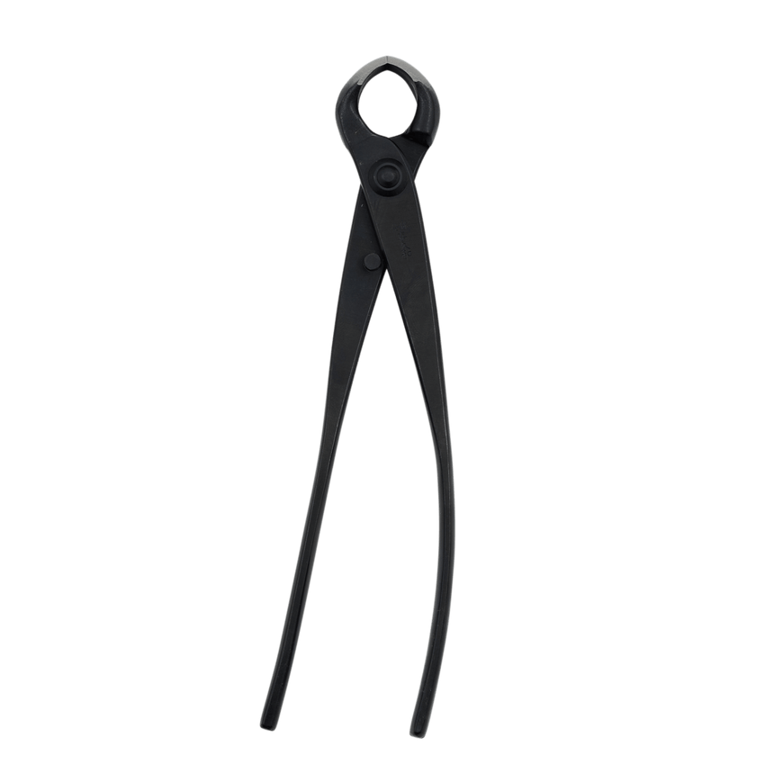 Kikuwa Professional Bonsai Knob Cutter - Large - Bonsai Tools - Japanese Tools Australia