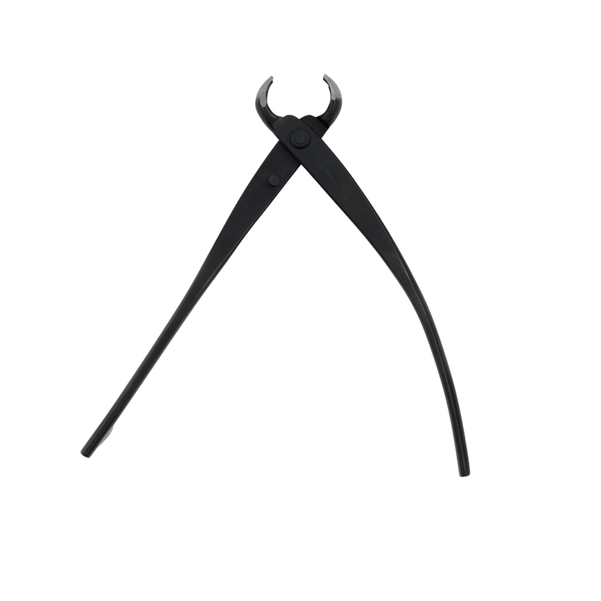 Kikuwa Professional Bonsai Knob Cutter - Small - Bonsai Tools - Japanese Tools Australia