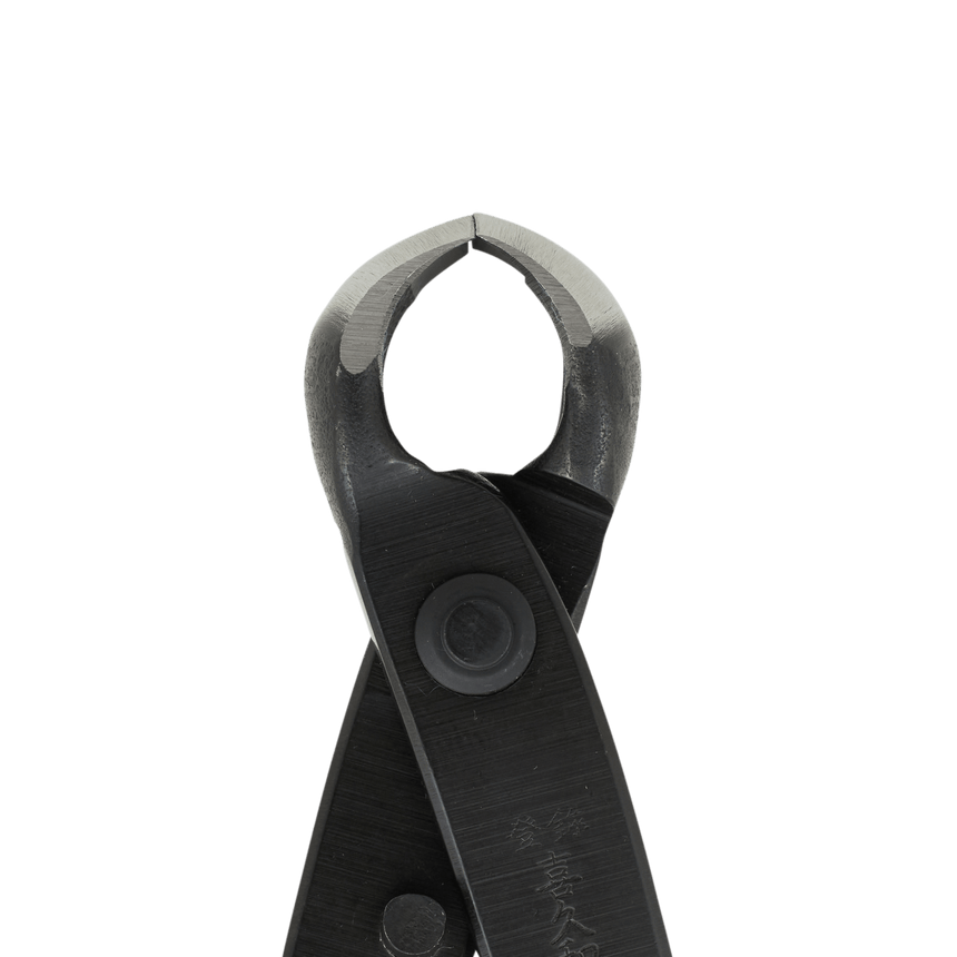 Kikuwa Professional Bonsai Knob Cutter - Small - Bonsai Tools - Japanese Tools Australia