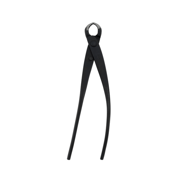 Kikuwa Professional Bonsai Knob Cutter - Small - Bonsai Tools - Japanese Tools Australia