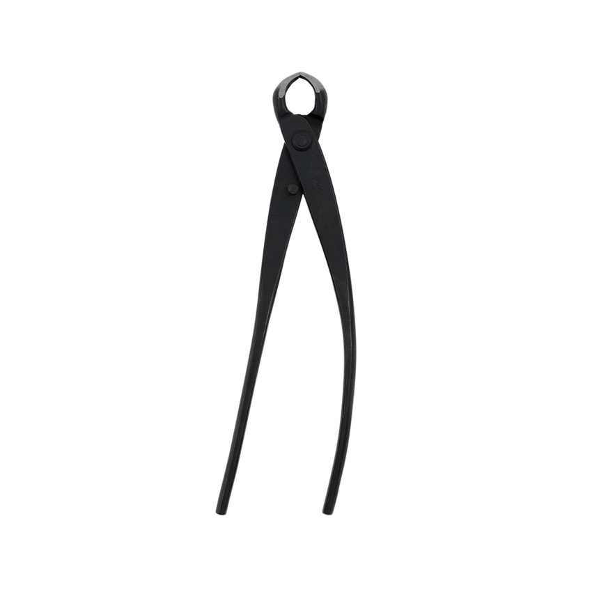 Kikuwa Professional Bonsai Knob Cutter - Small - Bonsai Tools - Japanese Tools Australia
