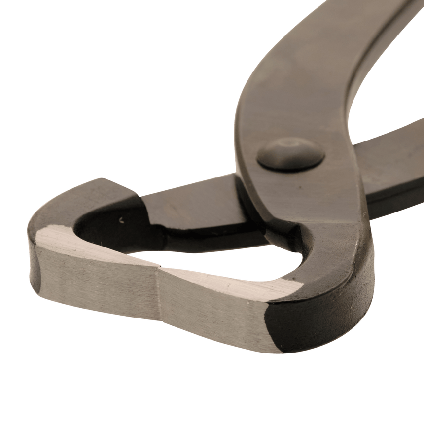 Kikuwa Trunk Splitter - Small - Bonsai Tools - Japanese Tools Australia