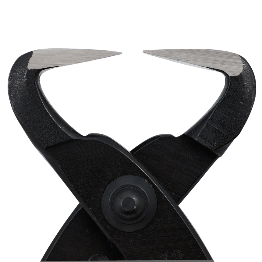 Kikuwa Trunk Splitter - Small - Bonsai Tools - Japanese Tools Australia