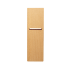 Michio Adjustable Mouth Kanna - Aogami #1, 70mm - Smoothing Planes - Japanese Tools Australia