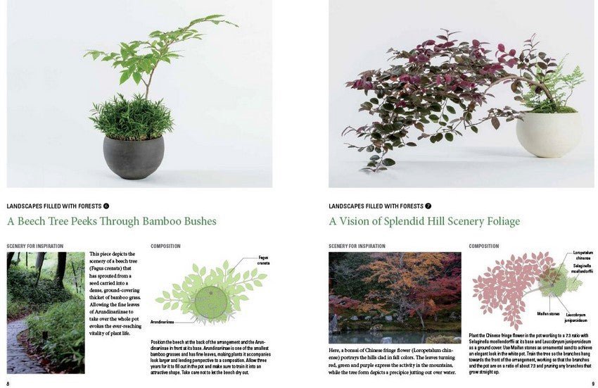 Miniature Japanese Gardens: Beautiful Bonsai Landscape Gardens for Your Home - Books - Japanese Tools Australia