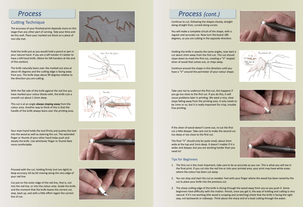 Mokuhanga Fundamentals - Books - Japanese Tools Australia