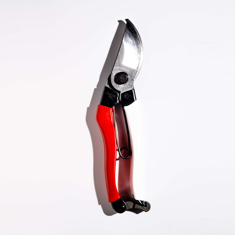 Okatsune Pruning Shears - 210mm - Secateurs - Japanese Tools Australia