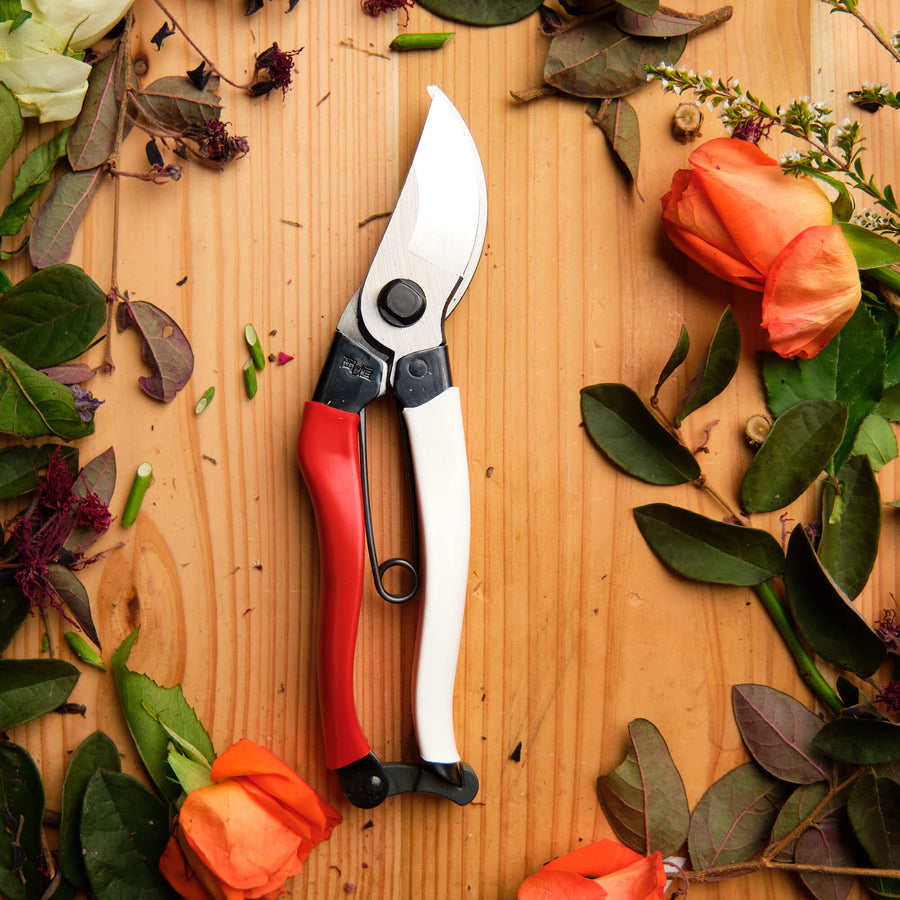 Secateurs Japanese Tools Australia