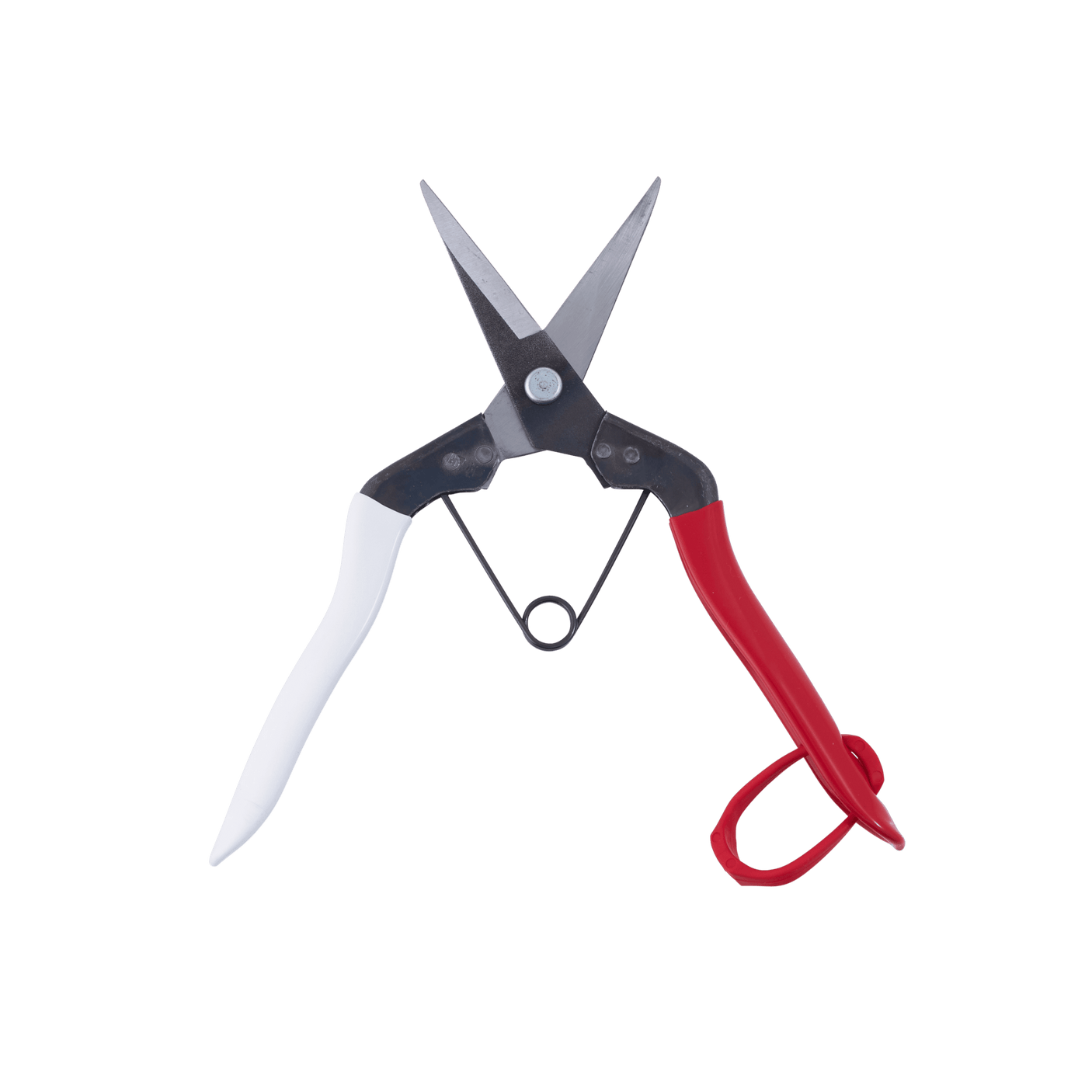 Okatsune Snips - Long Nose - Secateurs - Japanese Tools Australia