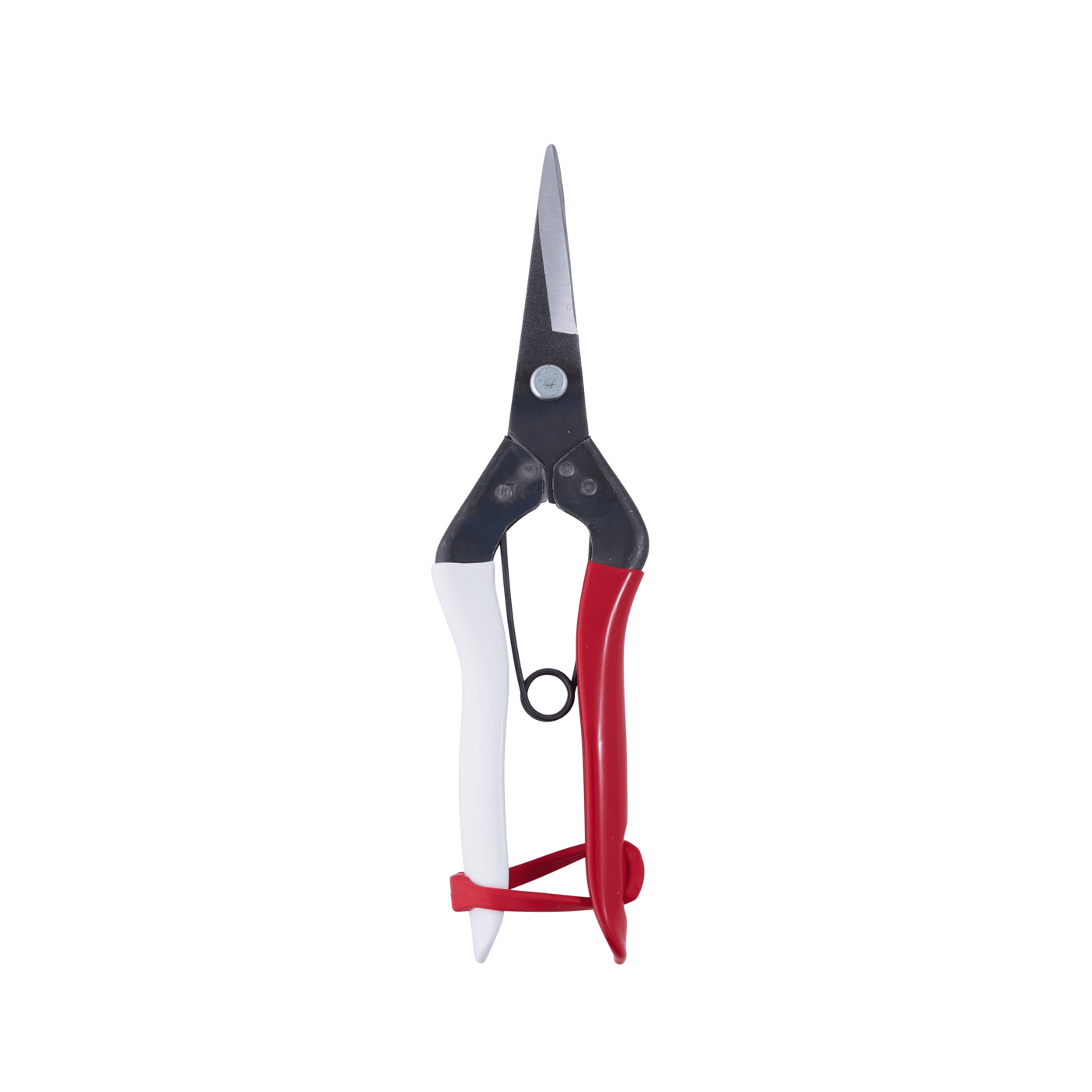 Okatsune Snips - Long Nose - Secateurs - Japanese Tools Australia