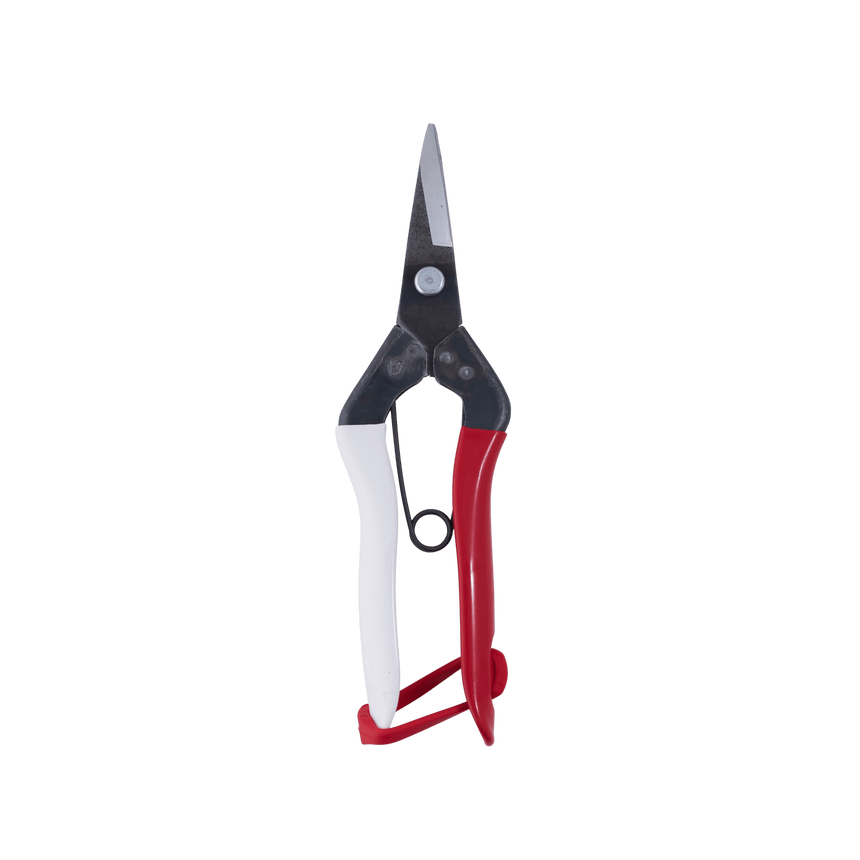 Okatsune Snips - Short Nose - Secateurs - Japanese Tools Australia