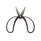 Okubo Scissors - Bonsai Tools - Japanese Tools Australia