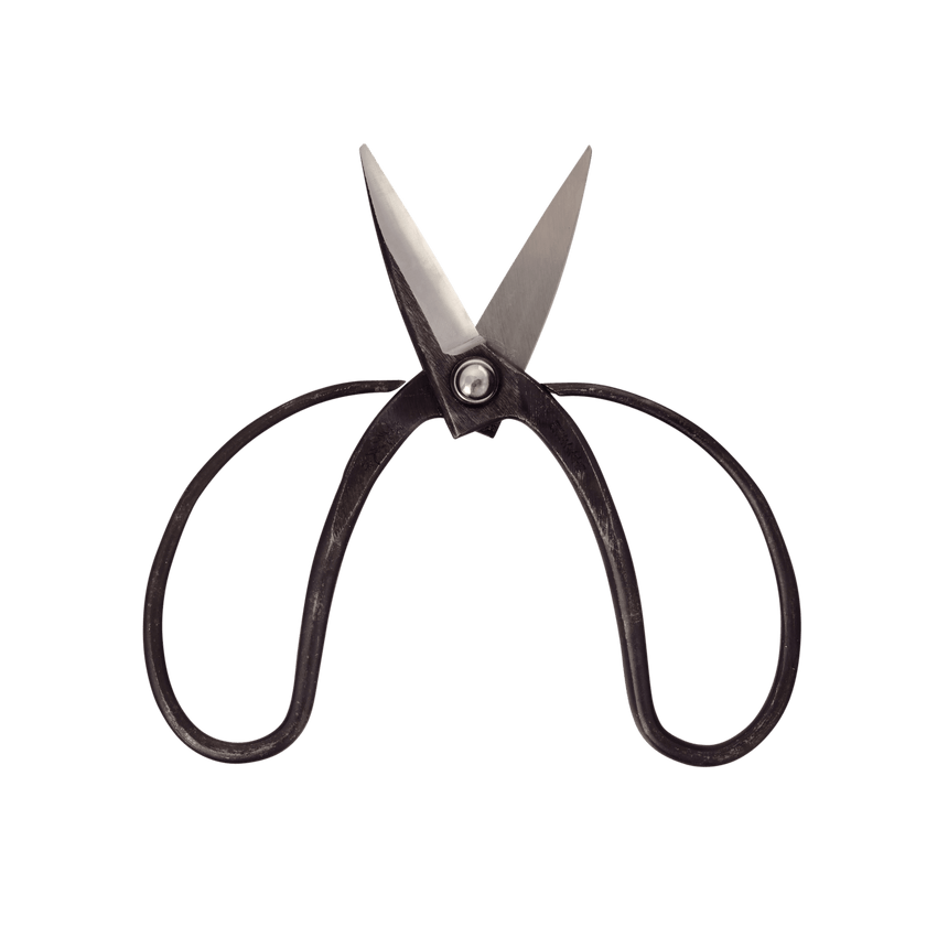 Okubo Scissors - Bonsai Tools - Japanese Tools Australia