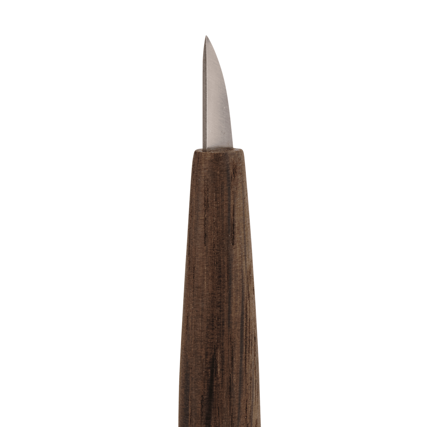 Short Single-Bevel Carving Knife - Curved Edge - Carving Knives - Japanese Tools Australia