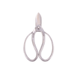 Stainless Steel Ikebana Scissors - Bonsai Tools - Japanese Tools Australia