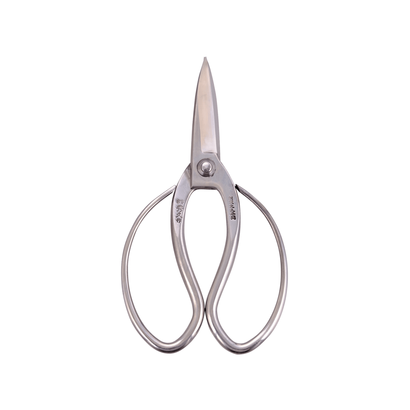 Stainless Steel Okubo Snips