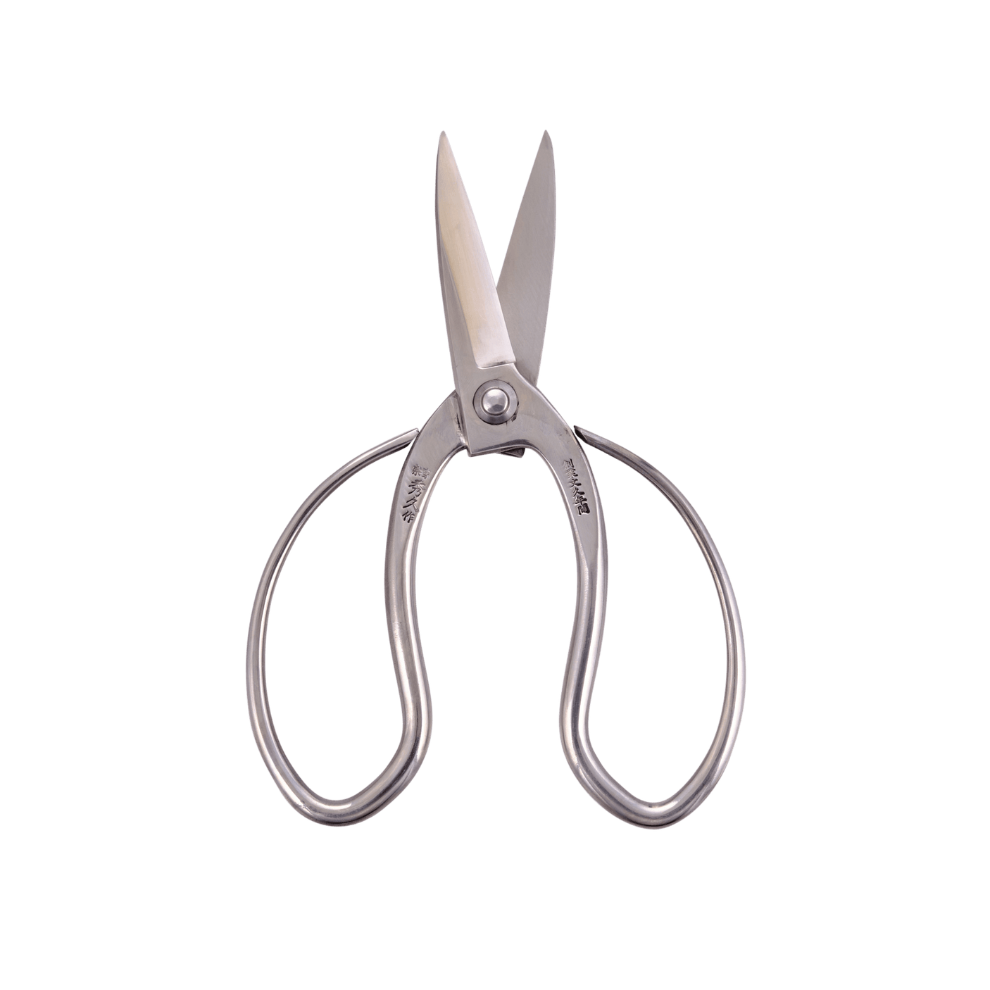 Stainless Steel Okubo Snips