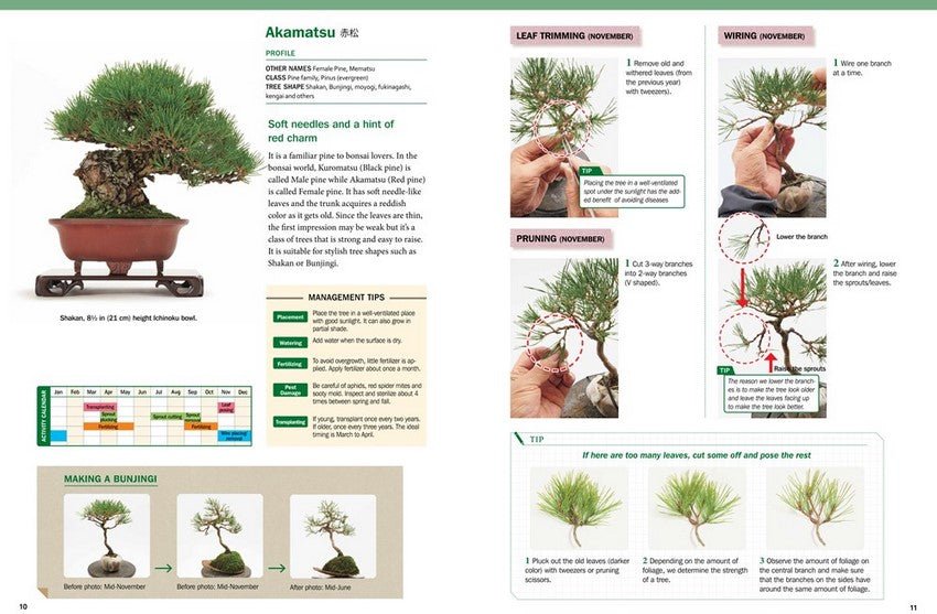 The Ultimate Bonsai Handbook - Books - Japanese Tools Australia